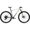 Canyon Exceed CF 4 2024