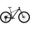 Giant Fathom 29 2 2024