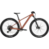 Scott Contessa Scale 940 2024