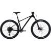 Giant Fathom 29 1 2024