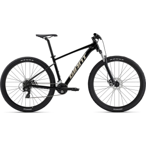 Giant Talon 4 2024