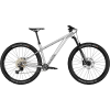 Canyon Stoic 4 2024