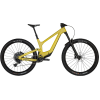 Scott Ransom 920 2024