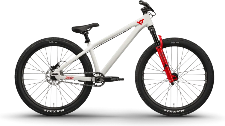 YT Industries Dirtlove CORE 2 26 2024