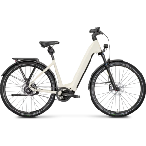 Rose Mayor Plus 4 LowStep 2024