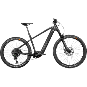 Drssiger Ride-E Diamant 2 2024