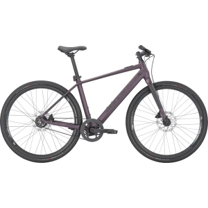 Bulls Espresso Grinder Evo Electric Bike 2024
