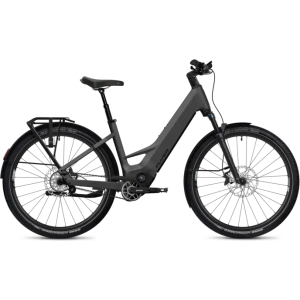 Flyer G1 Goroc TR 7.33 Comfort Electric Bike 2024