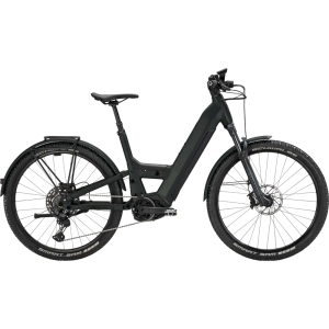 Bergstrom GXR DS-X 2024
