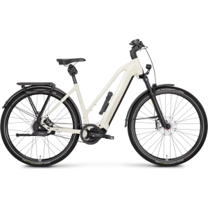 Rose Mayor Plus 3 MidStep 2024