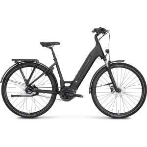 Rose Xtra Watt Evo Plus 2 LowStep 2024