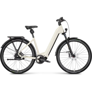 Rose Mayor Plus 3 LowStep 2024