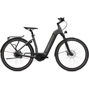Flyer G1 Gotour6 3.40 Comfort Electric Bike 2024