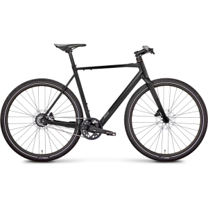 Rose Sneak Plus 2024