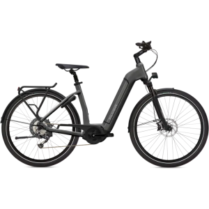 Flyer G1 Gotour6 3.10 Comfort Electric Bike 2024