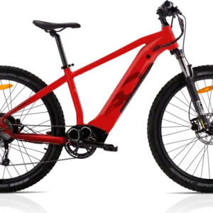 iGO Outland Laurentian – All-Terrain Comfort E-Bike 2024