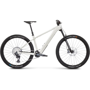 Rose Bonero Plus 3 2024