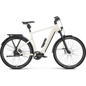 Rose Mayor Plus 3 2024