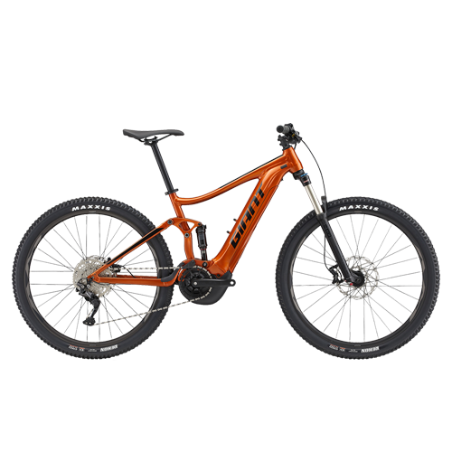 Electric Bikes