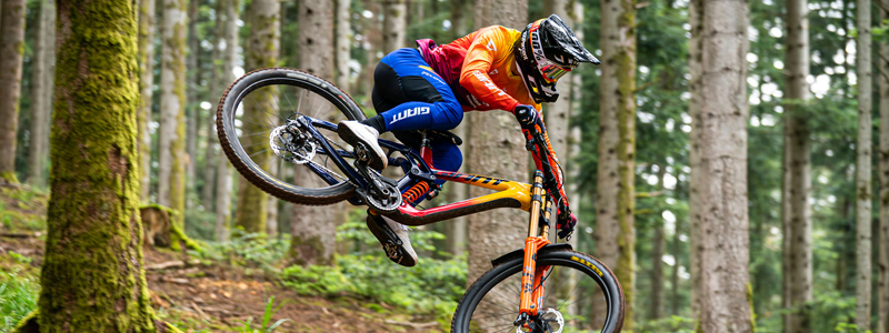 Ready-to-Ride Electric & Mountain Bikes