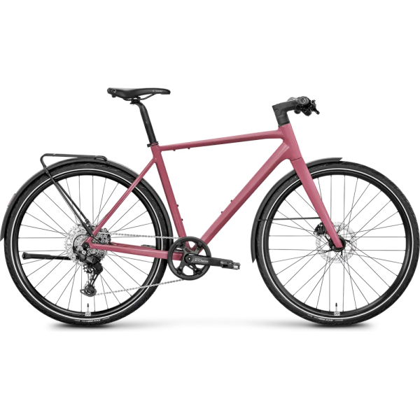 Rose Sneak 2 EQ 2025