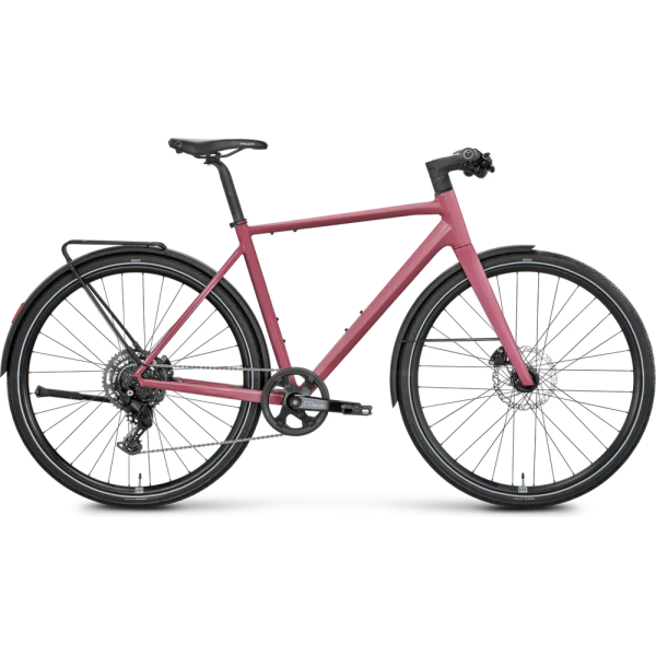 Rose Sneak EQ 1 2025
